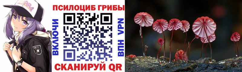 купить  сайты  Лесозаводск  маркетплейс официальный сайт  Псилоцибиновые грибы ЛСД 