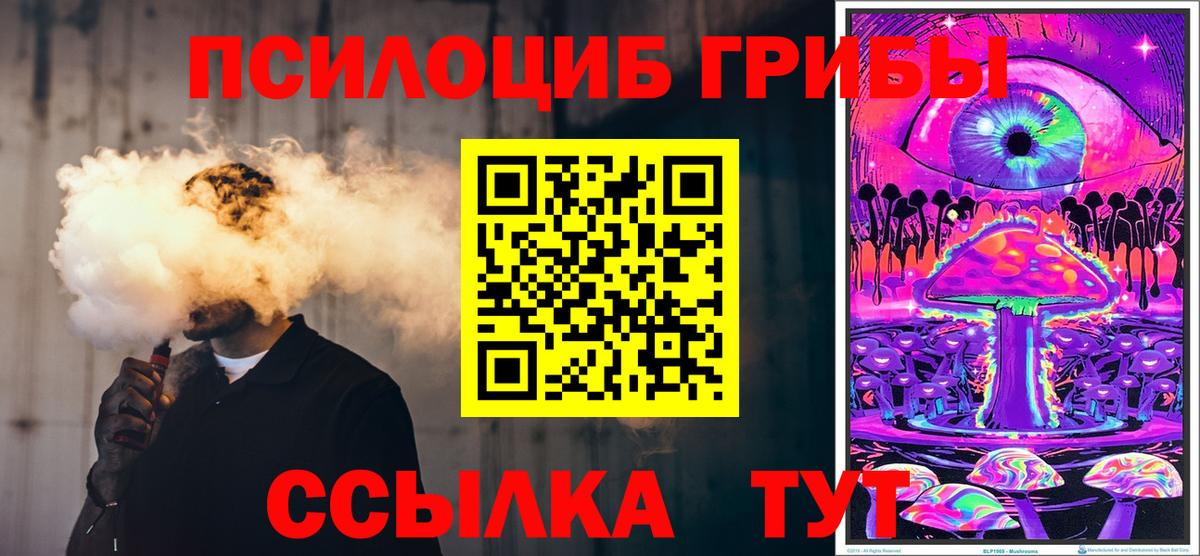 Галлюциногенные грибы мицелий  Вход с VPN  Лесозаводск 